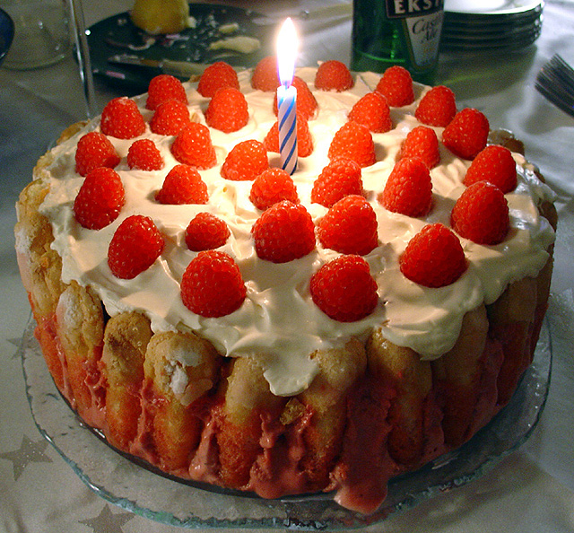 Birthday cake Ideas 2014 birthday cake 773619 Birthday cake Ideas 2014